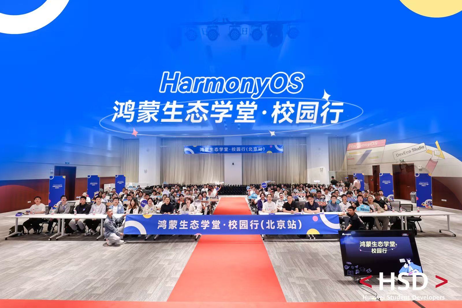 HSD活动1
